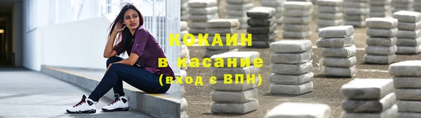 PSILOCYBIN Михайлов
