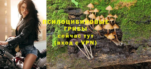 Альфа ПВП Медвежьегорск