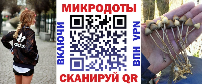 Купить закладки  Урюпинск  Галлюциногенные грибы Magic Shrooms 